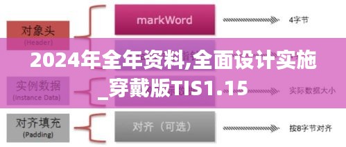 2024年全年资料,全面设计实施_穿戴版TIS1.15