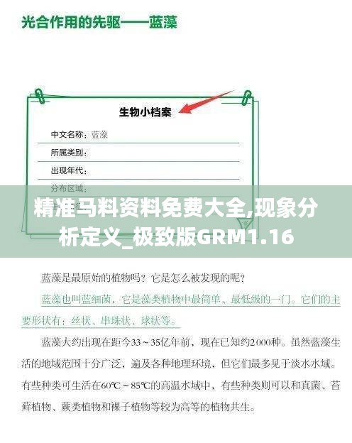 精准马料资料免费大全,现象分析定义_极致版GRM1.16