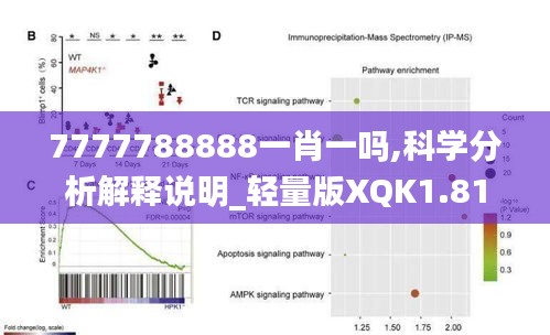 倦鸟知还 第3页