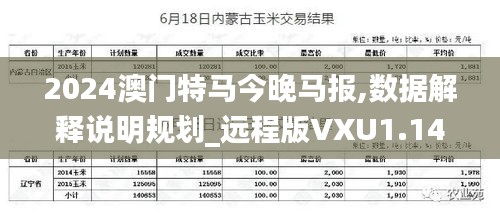 2024澳门特马今晚马报,数据解释说明规划_远程版VXU1.14