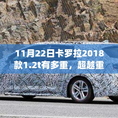 安全门 第317页
