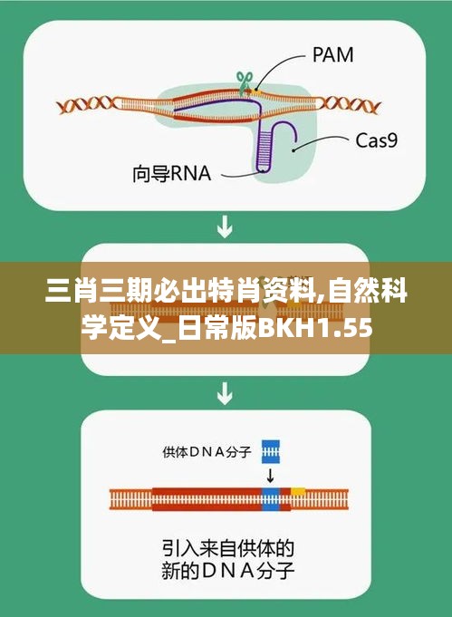 三肖三期必出特肖资料,自然科学定义_日常版BKH1.55