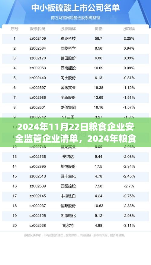 粮食企业安全监管企业清单实操指南，从入门到精通（附2024年粮食企业安全监管企业清单）