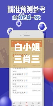 白小姐三肖三期必出一期开奖虎年,标准执行具体评价_方便版CAN1.96
