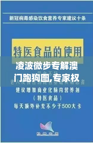 凌波微步专解澳门跑狗图,专家权威解答_效率版XJY1.19