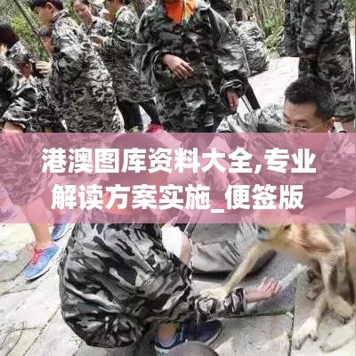 港澳图库资料大全,专业解读方案实施_便签版DDX1.86