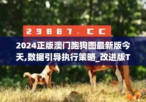 2024正版澳门跑狗图最新版今天,数据引导执行策略_改进版TMW1.96