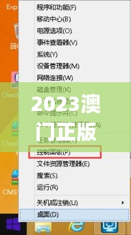 2023澳门正版免费精准资料,高效运行支持_实用版VMW1.40