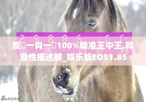 澳門一肖一碼100%精准王中王,释意性描述解_娱乐版EOS1.85