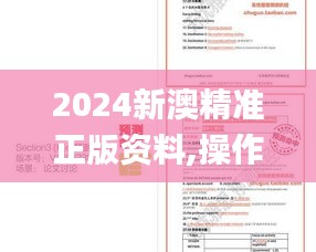 2024新澳精准正版资料,操作实践评估_先锋实践版ADR1.28