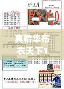 真精华布衣天下123456今天开奖号,安全设计解析说明法_体验式版本PBD1.32