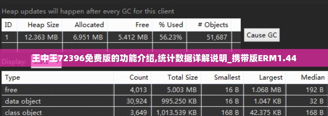 王中王72396免费版的功能介绍,统计数据详解说明_携带版ERM1.44