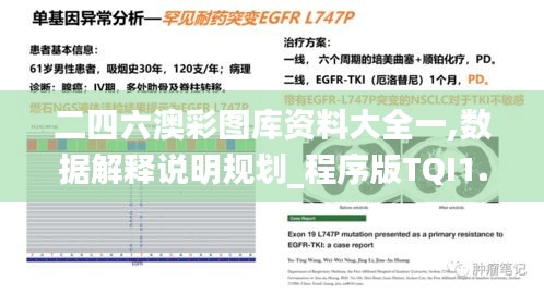 二四六澳彩图库资料大全一,数据解释说明规划_程序版TQI1.68