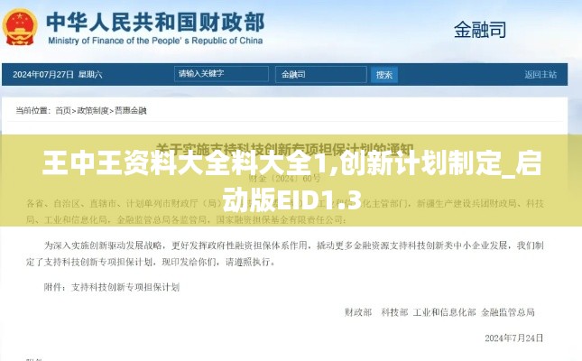 王中王资料大全料大全1,创新计划制定_启动版EID1.3