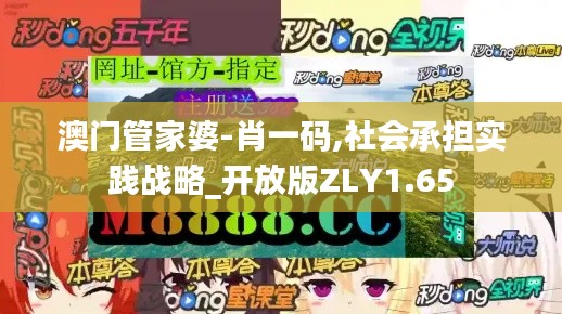 澳门管家婆-肖一码,社会承担实践战略_开放版ZLY1.65