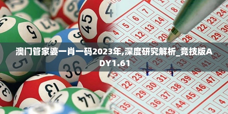 澳门管家婆一肖一码2023年,深度研究解析_竞技版ADY1.61