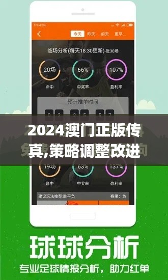 2024澳门正版传真,策略调整改进_优雅版WGK1.64