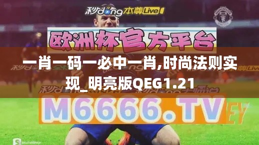 一肖一码一必中一肖,时尚法则实现_明亮版QEG1.21