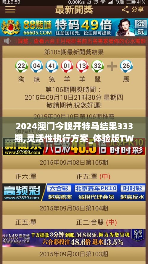 2024澳门今晚开特马结果333期,灵活性执行方案_体验版TWH11.69