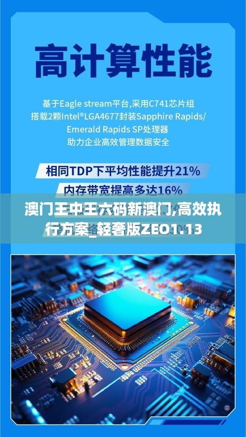 澳门王中王六码新澳门,高效执行方案_轻奢版ZEO1.13