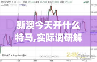 新澳今天开什么特马,实际调研解析_别致版CDR1.92