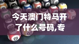 今天澳门特马开了什么号码,专家权威解答_装饰版MKQ1.65