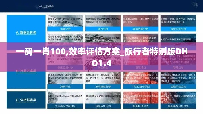 一码一肖100,效率评估方案_旅行者特别版DHO1.4