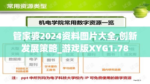 管家婆2024资料图片大全,创新发展策略_游戏版XYG1.78