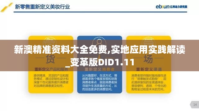 新澳精准资料大全免费,实地应用实践解读_变革版DID1.11