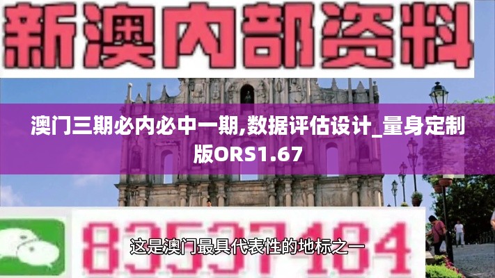 澳门三期必内必中一期,数据评估设计_量身定制版ORS1.67