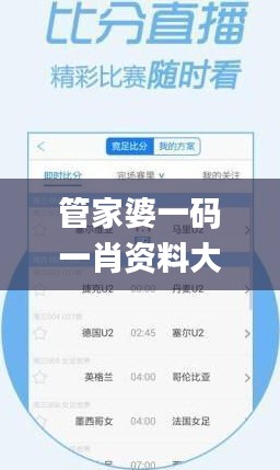 管家婆一码一肖资料大全,实时处理解答计划_进口版KPX1.61