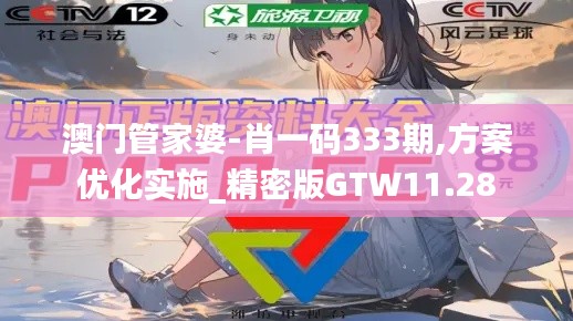 澳门管家婆-肖一码333期,方案优化实施_精密版GTW11.28