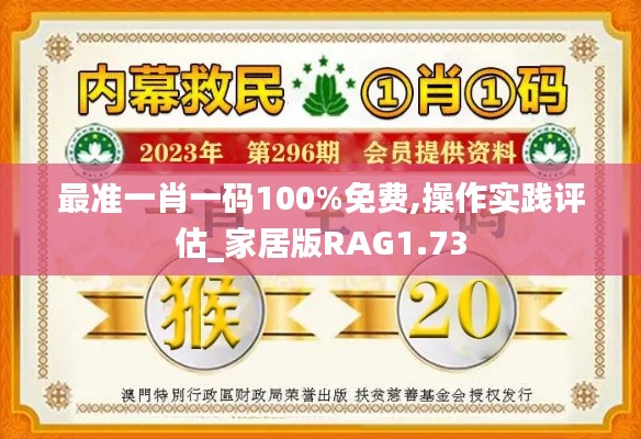 最准一肖一码100%免费,操作实践评估_家居版RAG1.73