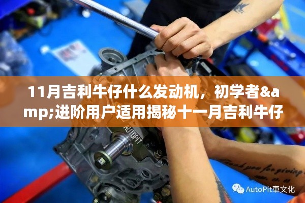 揭秘十一月吉利牛仔发动机，从初学者到进阶用户的安装与操作指南