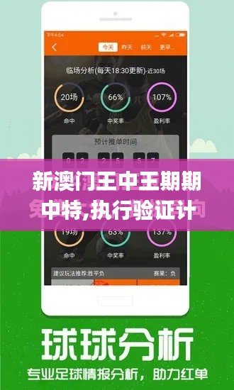 新澳门王中王期期中特,执行验证计划_晴朗版CMR1.67
