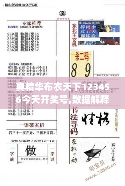 真精华布衣天下123456今天开奖号,数据解释说明规划_车载版MPA1.22