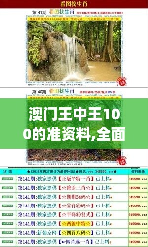 澳门王中王100的准资料,全面性解释说明_游戏版EZT1.67