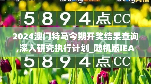 2024澳门特马今期开奖结果查询,深入研究执行计划_随机版IEA1.83