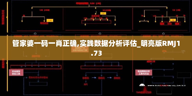 管家婆一码一肖正确,实践数据分析评估_明亮版RMJ1.73
