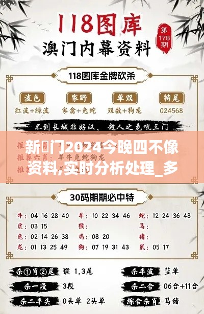 新澚门2024今晚四不像资料,实时分析处理_多媒体版VPU1.69