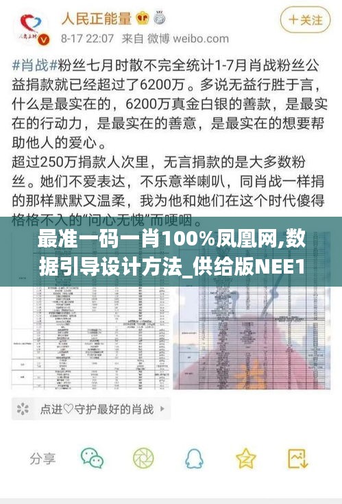 最准一码一肖100%凤凰网,数据引导设计方法_供给版NEE1.85