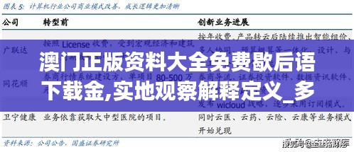 澳门正版资料大全免费歇后语下载金,实地观察解释定义_多维版BKG1.69
