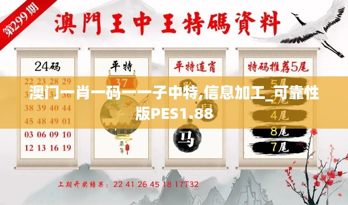 澳门一肖一码一一子中特,信息加工_可靠性版PES1.88