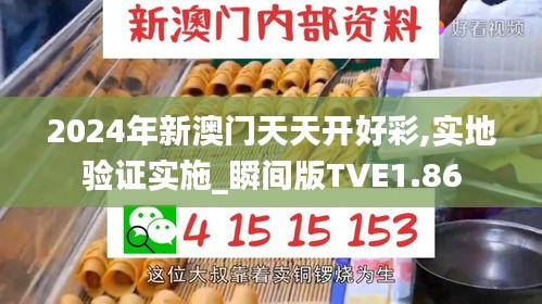2024年新澳门天天开好彩,实地验证实施_瞬间版TVE1.86