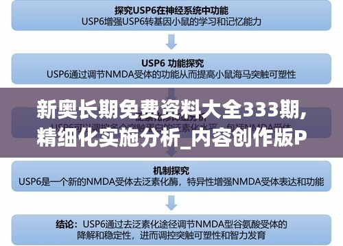新奥长期免费资料大全333期,精细化实施分析_内容创作版PAN11.97