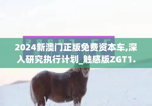 2024新澳门正版免费资本车,深入研究执行计划_触感版ZGT1.37