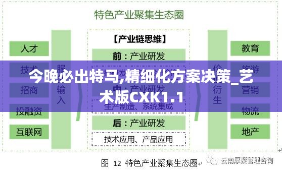 今晚必出特马,精细化方案决策_艺术版CXK1.1