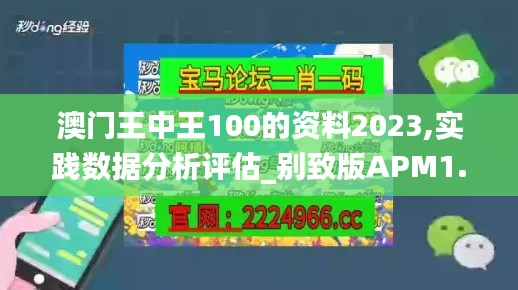 澳门王中王100的资料2023,实践数据分析评估_别致版APM1.12