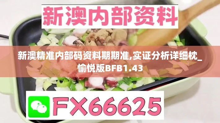 新澳精准内部码资料期期准,实证分析详细枕_愉悦版BFB1.43