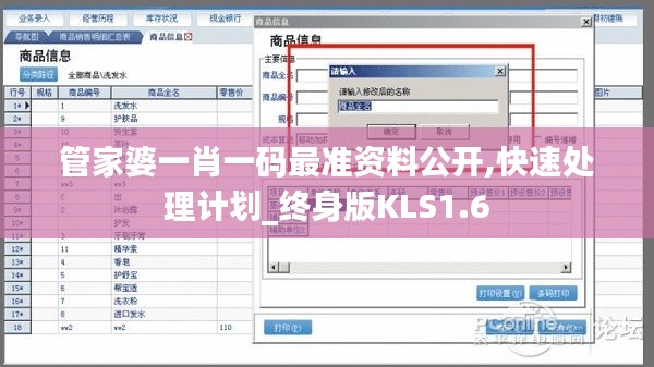 管家婆一肖一码最准资料公开,快速处理计划_终身版KLS1.6